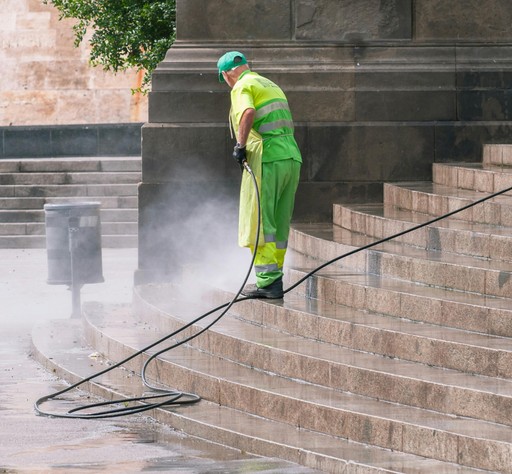 Professional Fence Cleaning